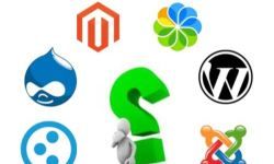 CMS Working Principles: Complete Guide to Content Management Systems